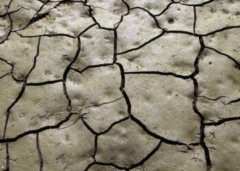 Why Is the Left Always So Deathly Afraid?