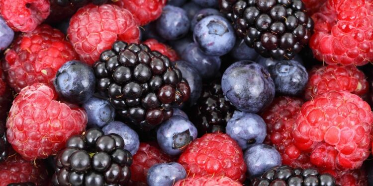 Planting the Seeds for a Better Way of Living