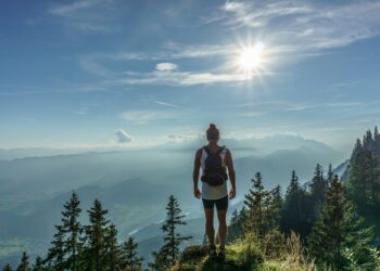 Brad Polumbo: Reflecting on My FEE Journey