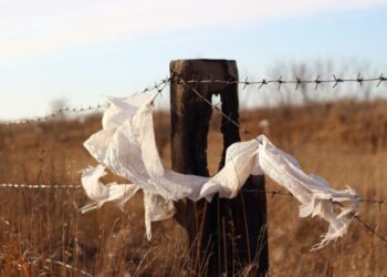 New Jersey Bag Ban