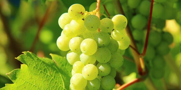 Inflammation Consequences of a Bad Diet