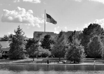 Who Are the Neofascists?