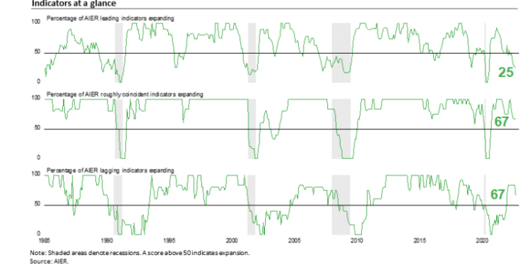 AIER Leading Indicators Index Falls Farther Below Neutral