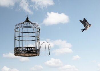 Pandemics and Liberty: An Introduction