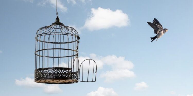 Pandemics and Liberty: An Introduction