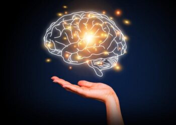 Economic Literacy for Everyone