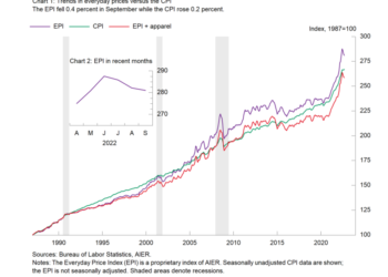 AIER’s Everyday Price Index Falls for the Third Consecutive Month in September