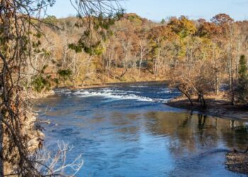 Government Lands, Squatters’ Claims, and David Crockett