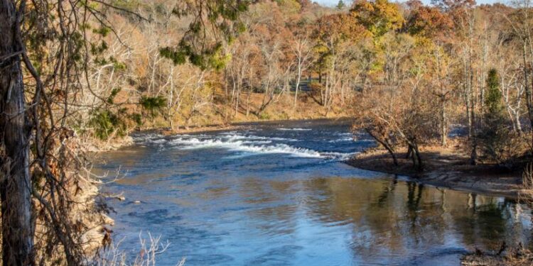 Government Lands, Squatters’ Claims, and David Crockett