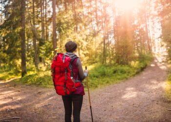 A Primer on How to Think about the Economy