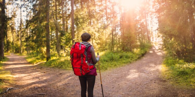 A Primer on How to Think about the Economy