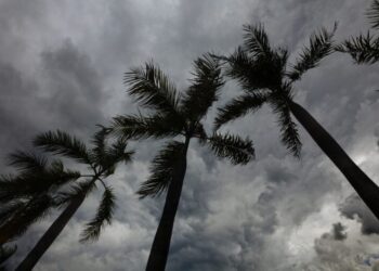 The Private Disaster Response Alternative