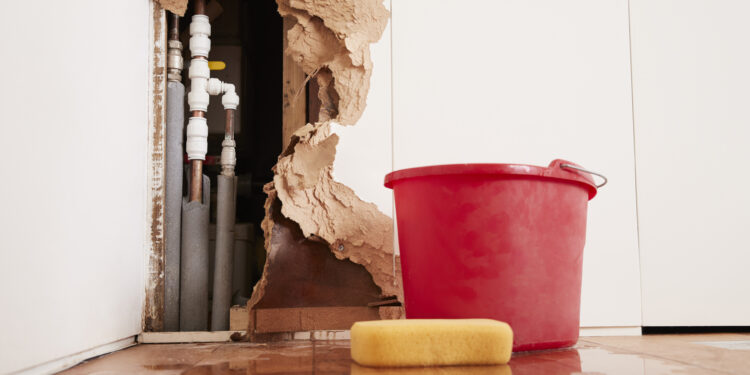 Why I Love Landlords