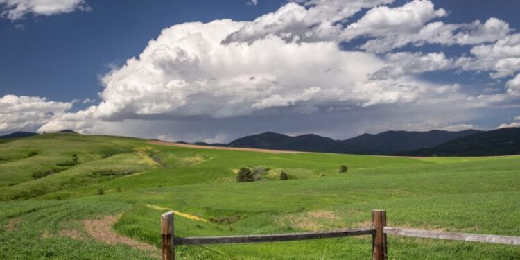 ‘Free-Market Environmentalism’ Is Working in Montana