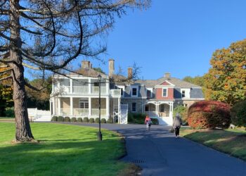 Will the Microschool Movement Last? Lessons from the 1960s “Free Schools”