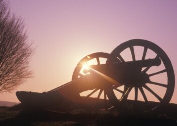 A Well-Regulated Militia is Necessary to the Security of a Free State