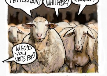 Welcome to the Slaughterhouse