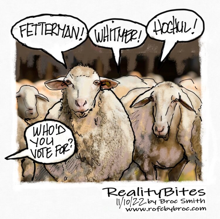 Welcome to the Slaughterhouse