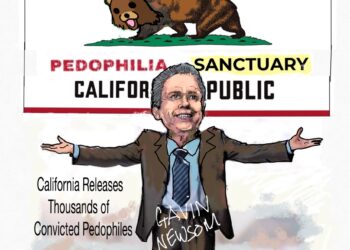 Pedo-Sanctuary