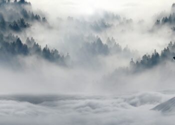 Putin’s ‘Winter War’ on Ukraine