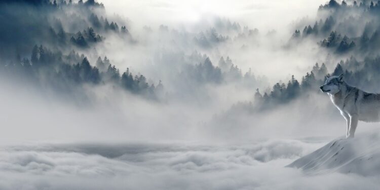 Putin’s ‘Winter War’ on Ukraine