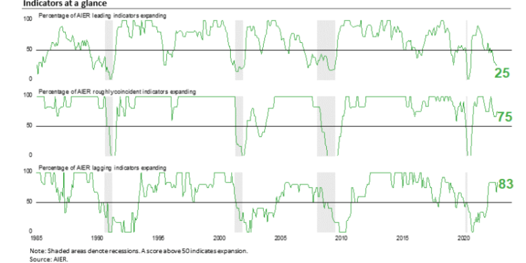 AIER Leading Indicators Index Remains Well Below Neutral