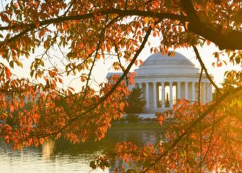 Global Lessons of America’s Thanksgiving