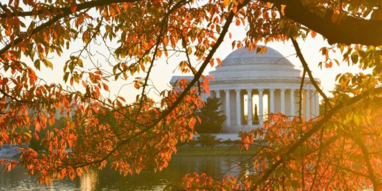 Global Lessons of America’s Thanksgiving