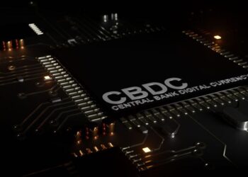 CBDCs: What Can We Learn From Dollarized Countries?