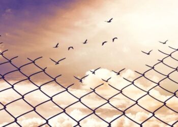 Liberalism’s Greatest Gift