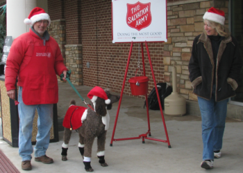 When Giving Is Smart and When It Isn’t