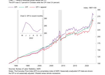AIER’s Everyday Price Index Rises After Three Consecutive Declines