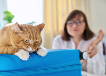 Are Libertarians House Cats?