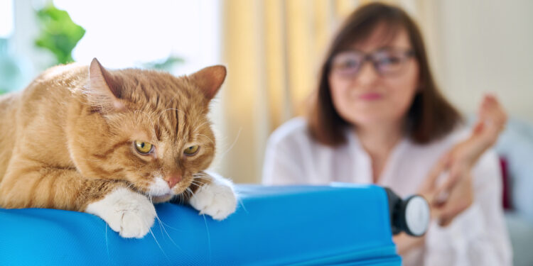 Are Libertarians House Cats?