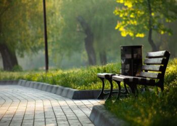 Economics Is a Walk in the Park