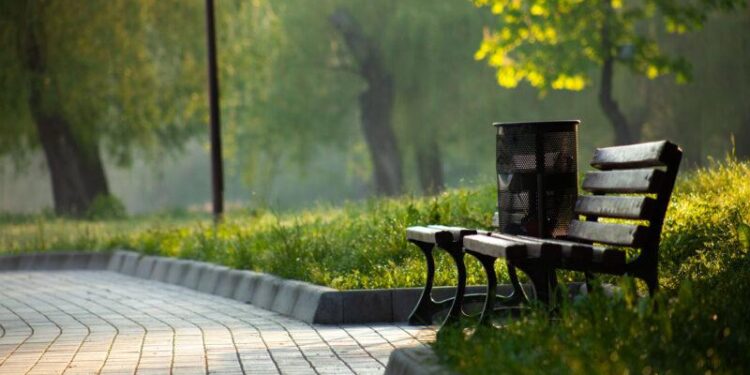 Economics Is a Walk in the Park