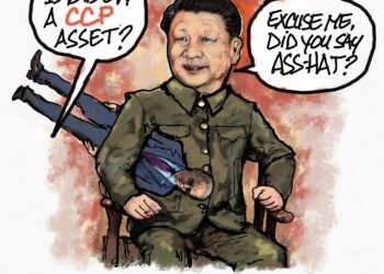 CCP Asset?