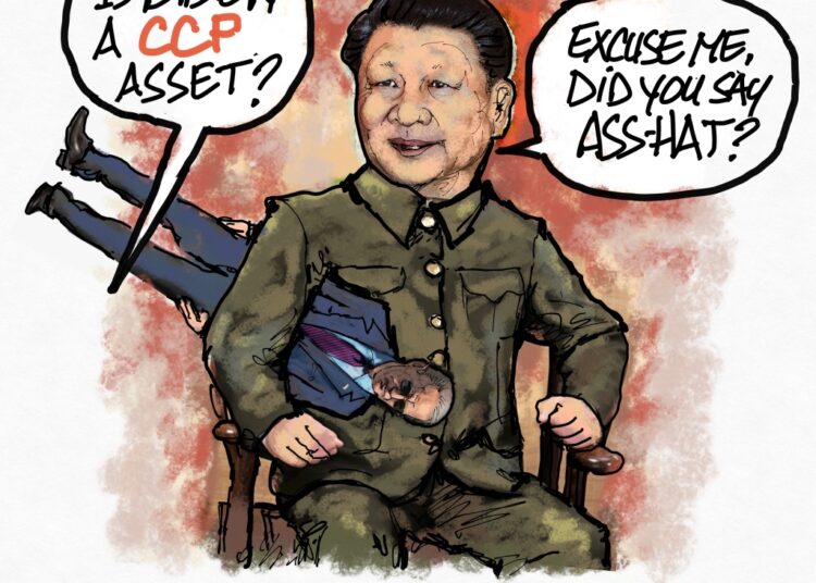 CCP Asset?