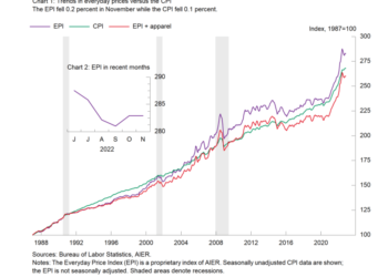 AIER’s Everyday Price Index Falls for the Fourth Time in Five Months