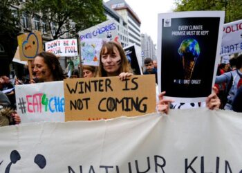 Climate Conferences Fail on Deforestation