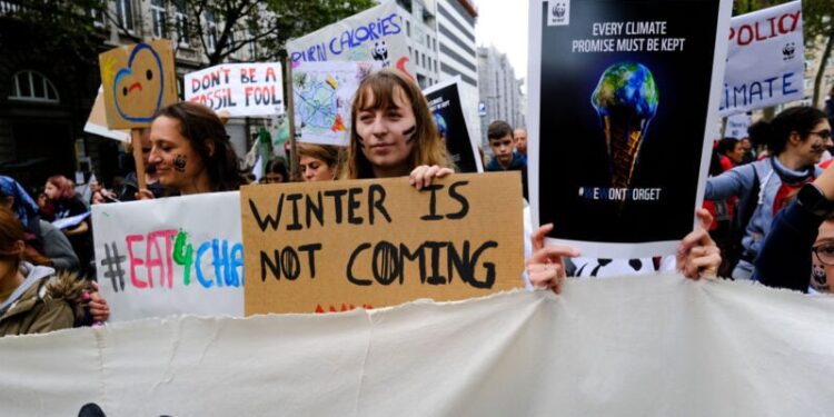 Climate Conferences Fail on Deforestation