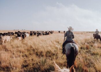 How Yellowstone Portrays the American Creed