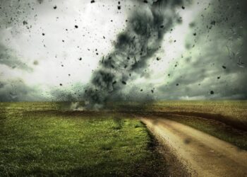 Population Panic