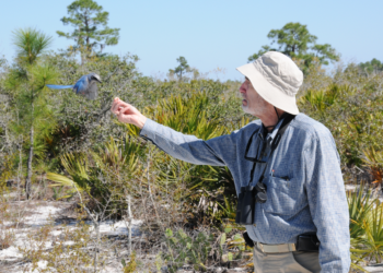 Paul Ehrlich: Wrong on 60 Minutes and for Almost 60 Years