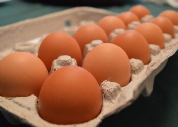Let’s Talk About The Catastrophic Rise Of Egg Prices…