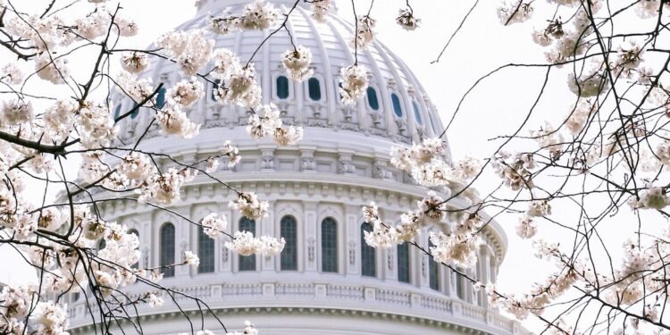 The House Speaker’s Race is Worth Celebrating