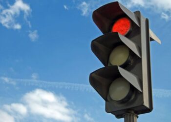 A Key Lesson in Education Policy: You Don’t Make Peace with Termites