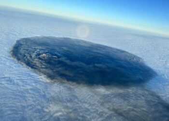 A Cover Up Of Epic Proportions Is Happening In East Palestine, Ohio