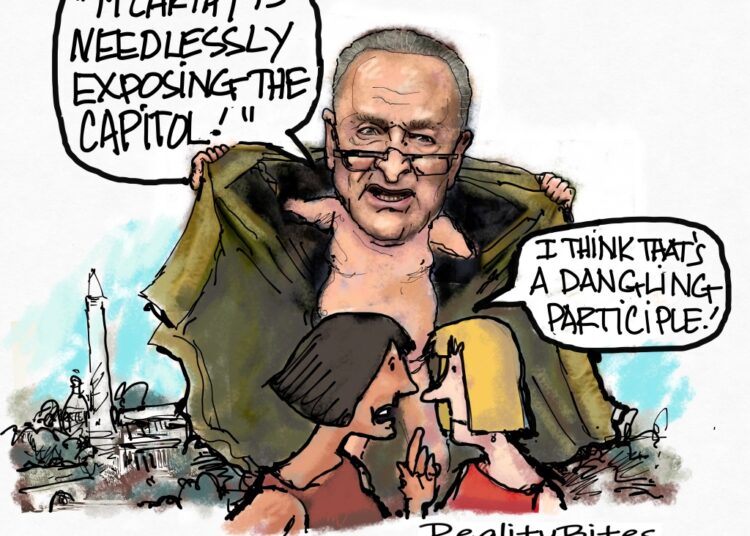 Democrat Panic
