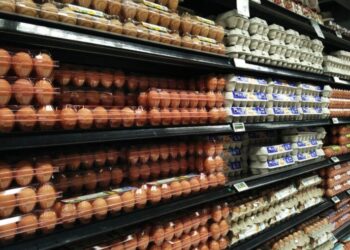 AIER’s Everyday Price Index Increases Nearly 1% in January 2023